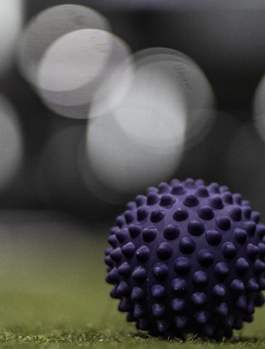 uniq fitness spike ball purple
